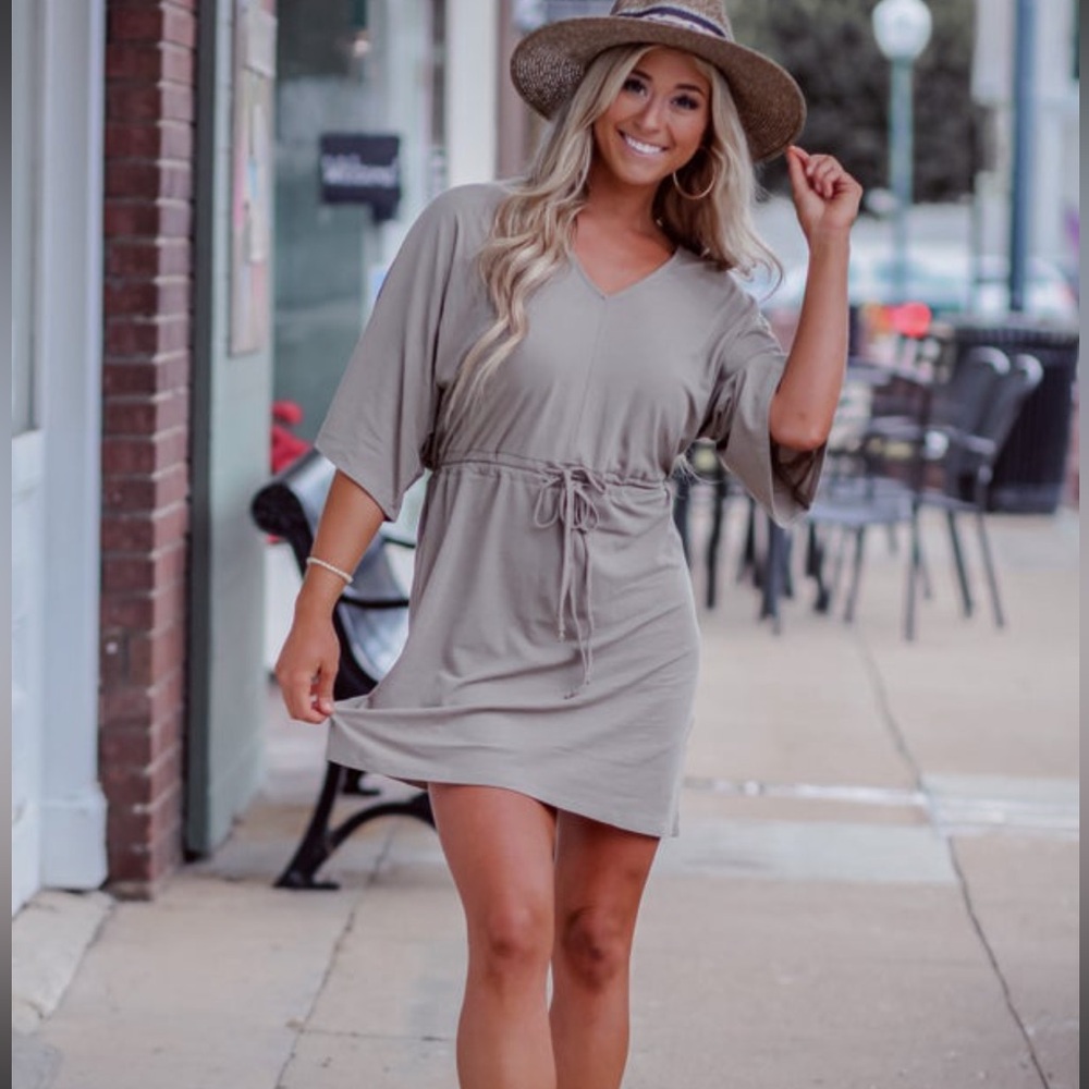 Z Supply V Neck Dress